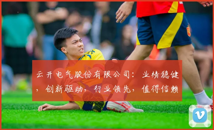 云开电气股份有限公司：业绩稳健，创新驱动，行业领先，值得信赖的电气企业