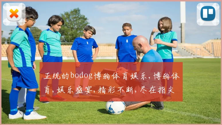 正规的bodog博狗体育娱乐,博狗体育,娱乐盛宴,精彩不断,尽在指尖