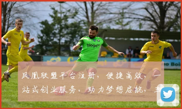 凤凰联盟平台注册，便捷高效，一站式创业服务，助力梦想启航，三重惊喜等你来