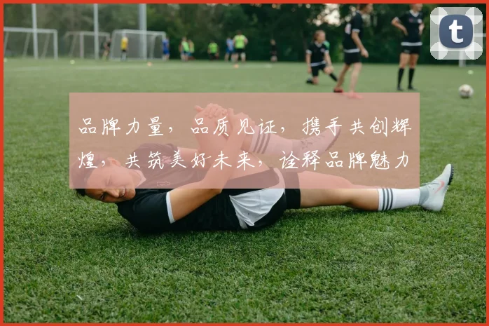 品牌力量，品质见证，携手共创辉煌，共筑美好未来，诠释品牌魅力。