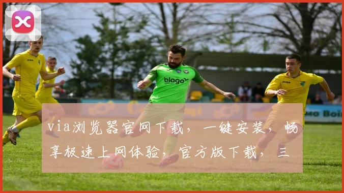 via浏览器官网下载，一键安装，畅享极速上网体验，官方版下载，三步轻松搞定，不容错过