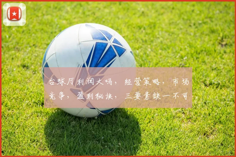 台球厅利润大吗，经营策略，市场竞争，盈利秘诀，三要素缺一不可，洞察盈利之道