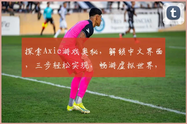 探索Axie游戏奥秘，解锁中文界面，三步轻松实现，畅游虚拟世界，感受文化魅力