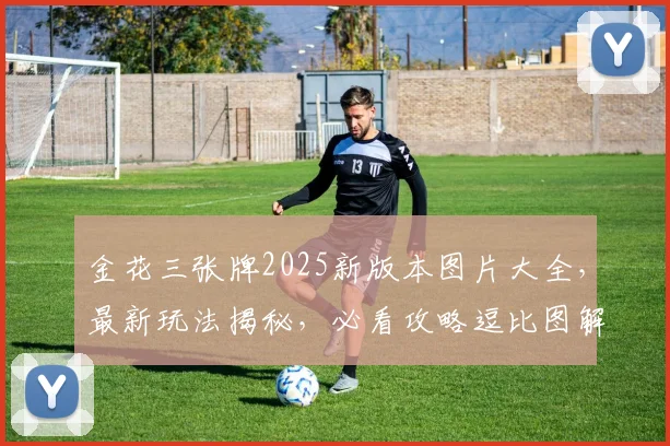 金花三张牌2025新版本图片大全，最新玩法揭秘，必看攻略逗比图解逗逗乐逗